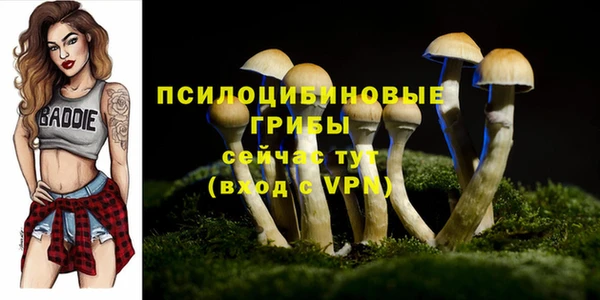 а пвп мука Арсеньев