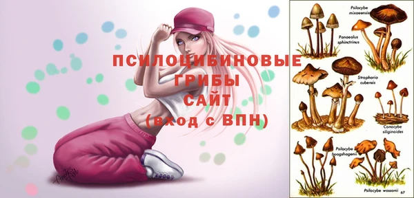 mix Армянск