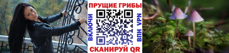 Псилоцибиновые грибы прущие грибы  Купить закладки  Можга 