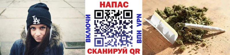 Шишки марихуана гибрид  Купить закладки  Можга 